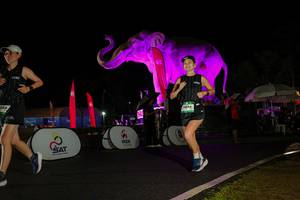 BIB: 
                            <button type="button" onclick="openModal(26544285)" class="btn btn-primary btn-sm float-right btn-popup" data-toggle="modal" data-target=".modal-high-quality">
                        <i class="fas fa-shopping-cart"></i> Add to Cart
                    </button>
                                            <button type="button" onclick="isThisMe(26544285, true)" class="btn btn-success btn-sm float-right btn-popup btn-isme hidden" data-toggle="tooltip" data-placement="bottom" title="นี่คือรูปของคุณใช่ไหม คลิกที่นี่เพื่อเอาเข้าอัลบั้ม">
                        <i class="fas fa-plus"></i> Add to album
                    </button>
                    <button type="button" onclick="isThisMe(26544285, false)" class="btn btn-warning btn-sm float-right btn-popup btn-isnotme hidden">
                        <i class="fas fa-ban"></i> Remove from album
                    </button>